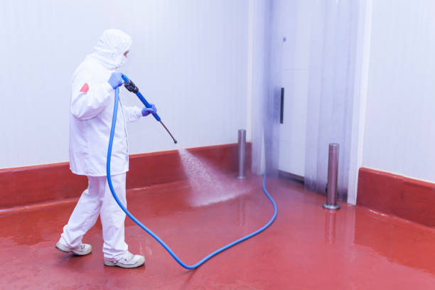 Pre-Holiday Cleaning in Halesite, NY